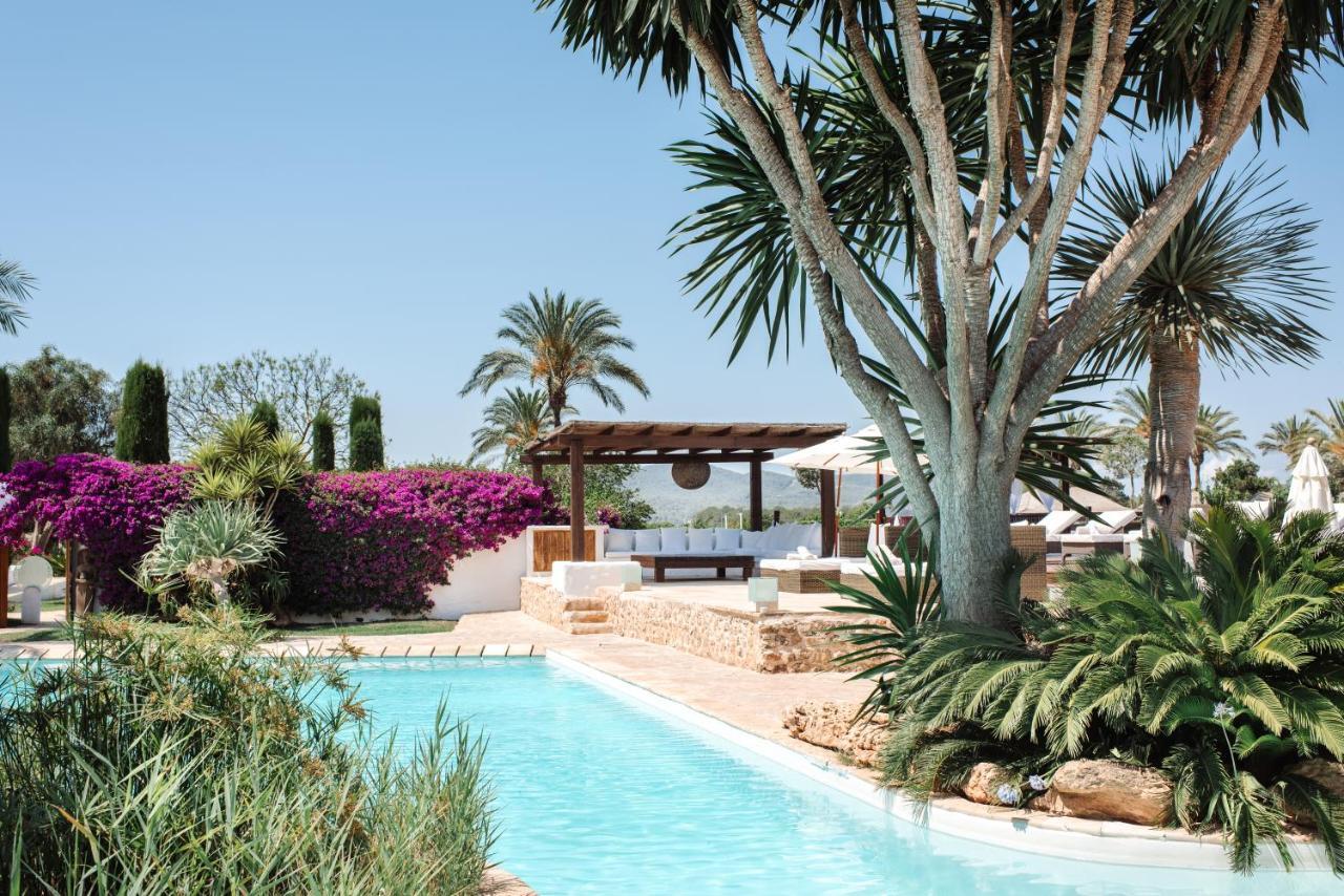 Agroturismo Atzaro Santa Eularia des Riu Luaran gambar